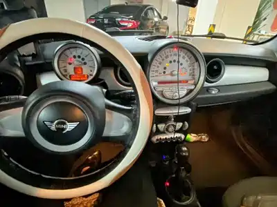 MINI MINI 2010