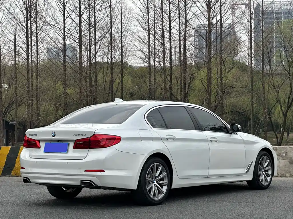 BMW 5 Series 2017 — фото 7