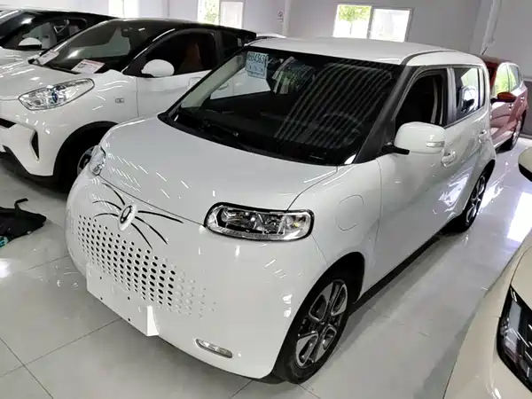 Ora White Cat 2022