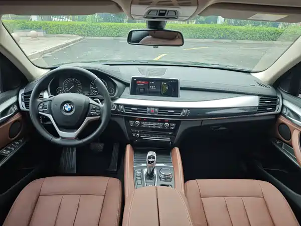 BMW X6 2018