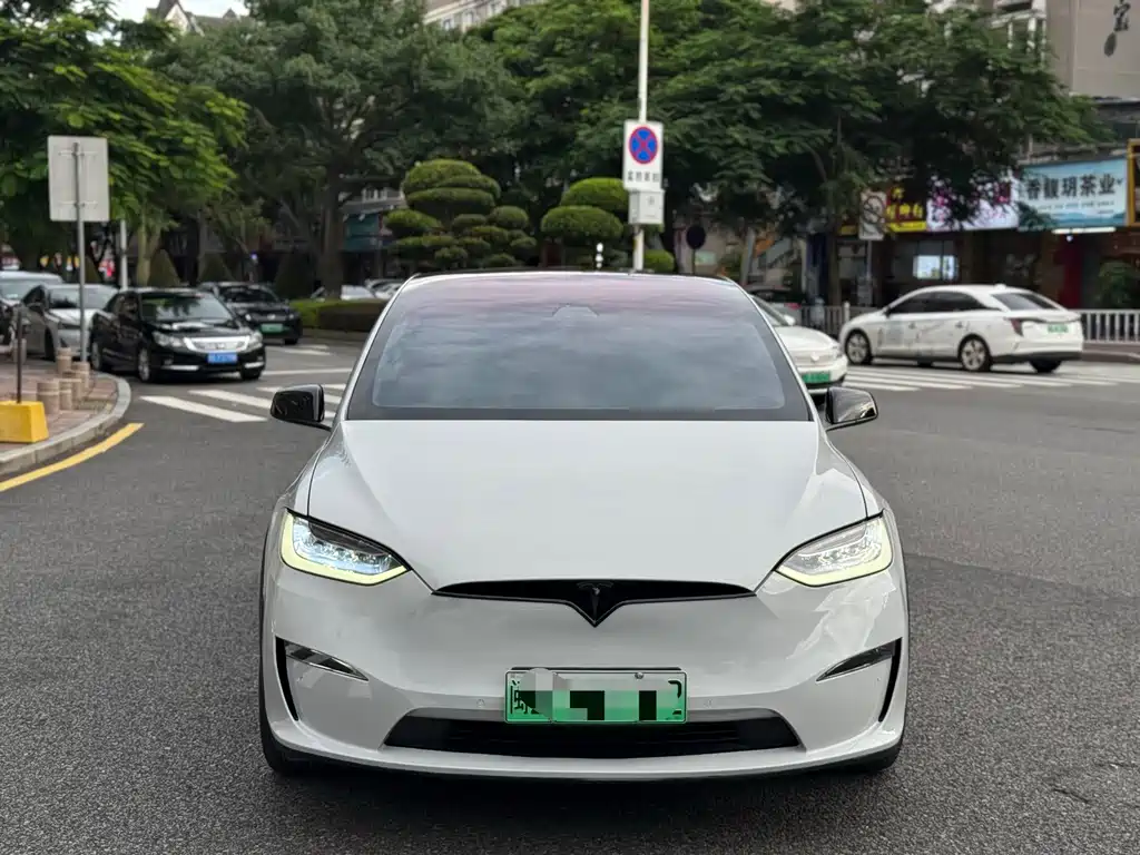 Tesla Model X 2020 — фото 2