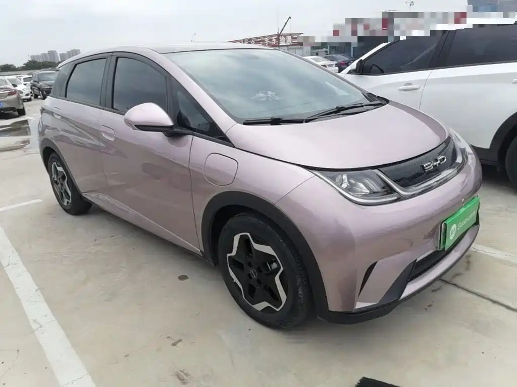 BYD Dolphin 2022