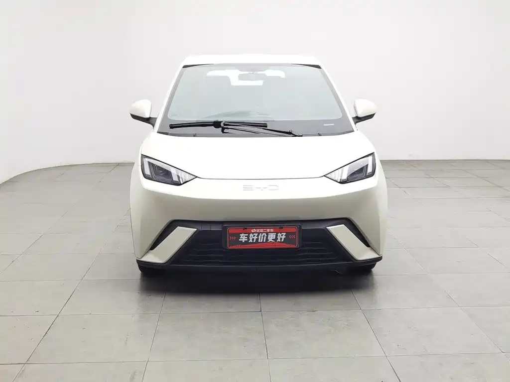 BYD Seagull 2024