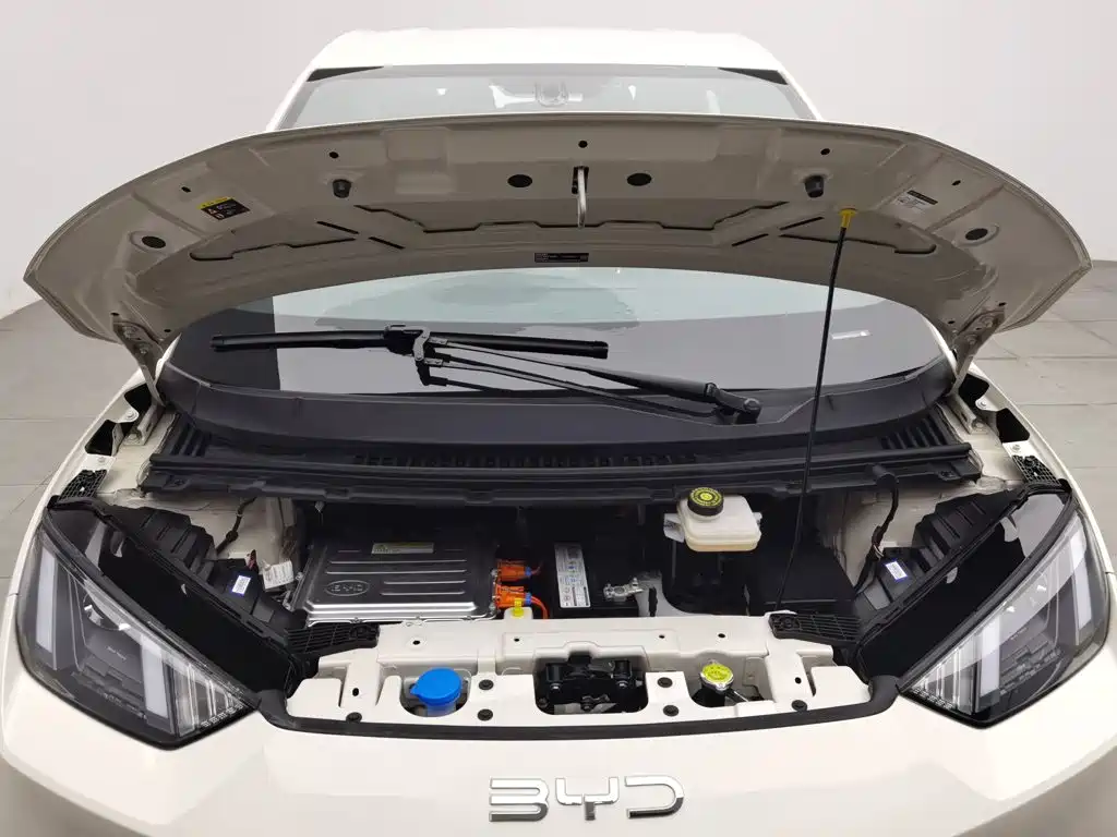 BYD Seagull 2024