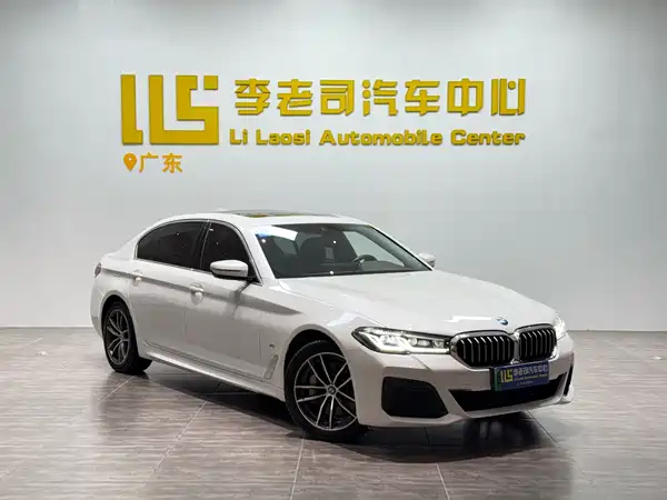 BMW 5 Series New Energy 2021