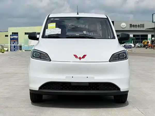 Wuling Hongguang New Energy 2026