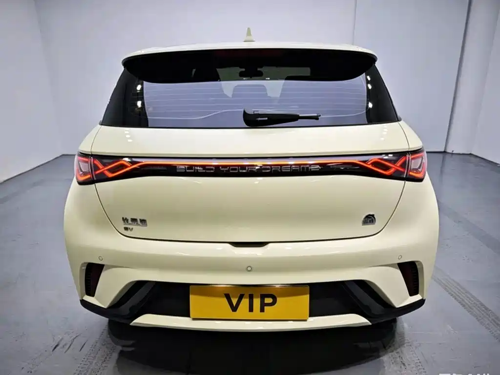 BYD Dolphin 2024
