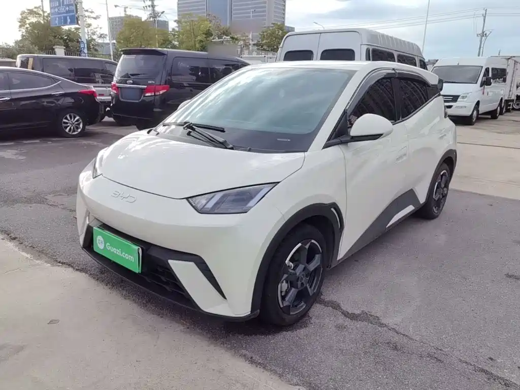BYD Seagull 2024