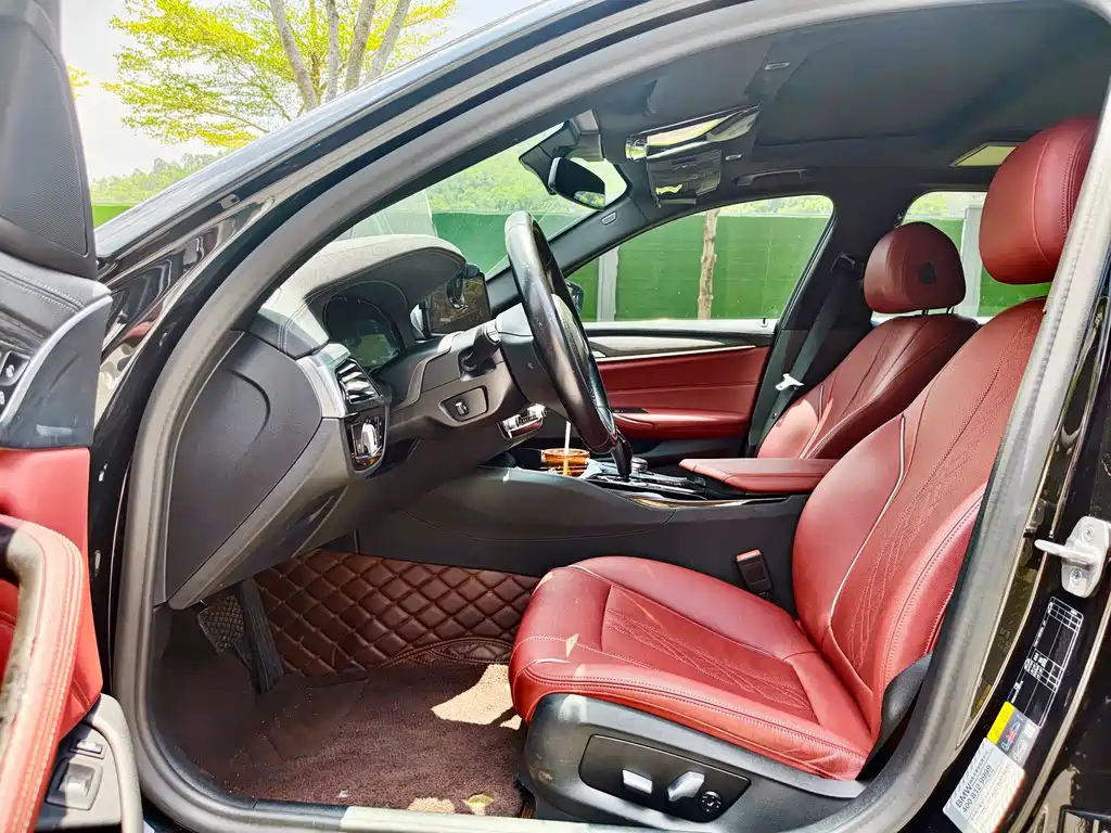 BMW 5 Series New Energy 2021