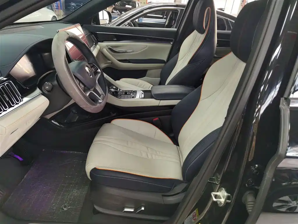 BYD PLUS New Energy 2023 — фото 14