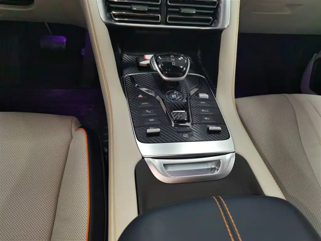 BYD PLUS New Energy 2023 — фото 12