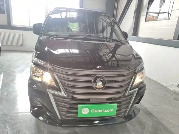 Dongfeng Lingzhi 2023