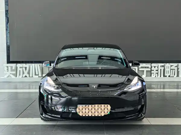 Tesla Model 3 2020
