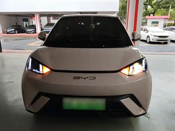 BYD Seagull 2024
