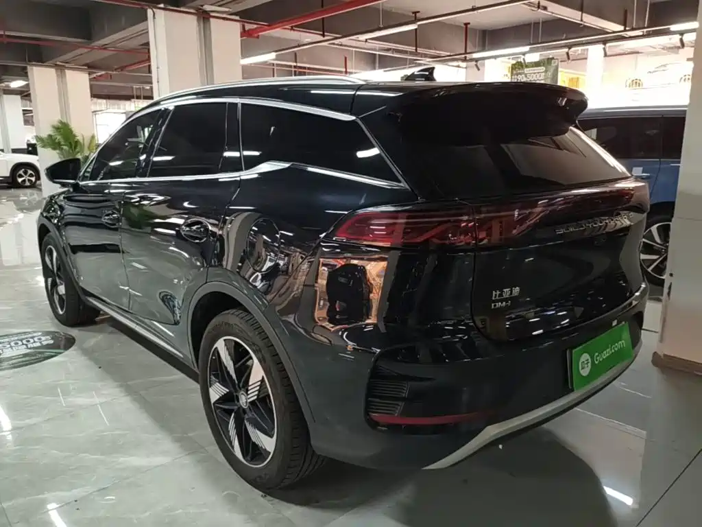 BYD Tang New Energy 2024 — фото 5