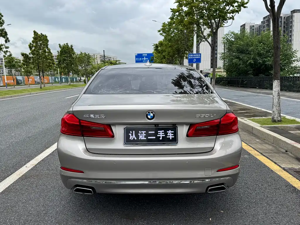 BMW 5 Series 2019
