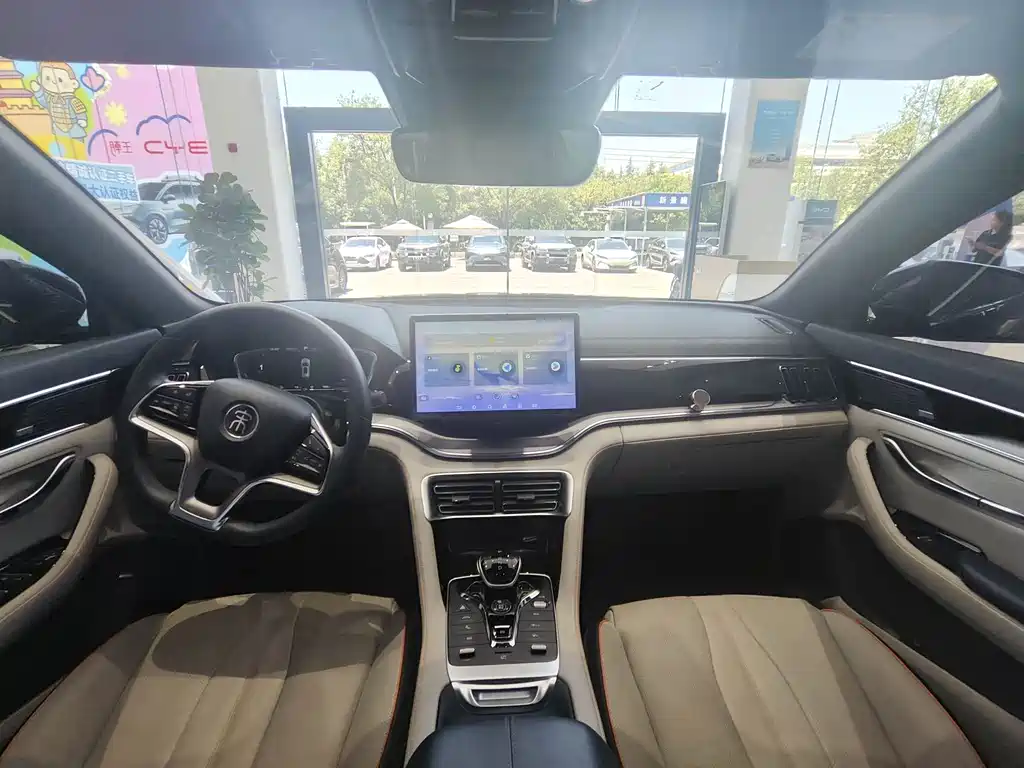 BYD Song PLUS New Energy 2021 — фото 14
