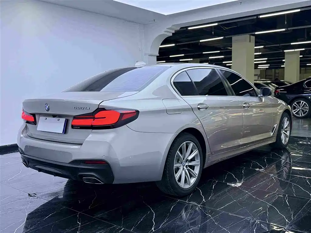 BMW 5 Series 2017 — фото 19
