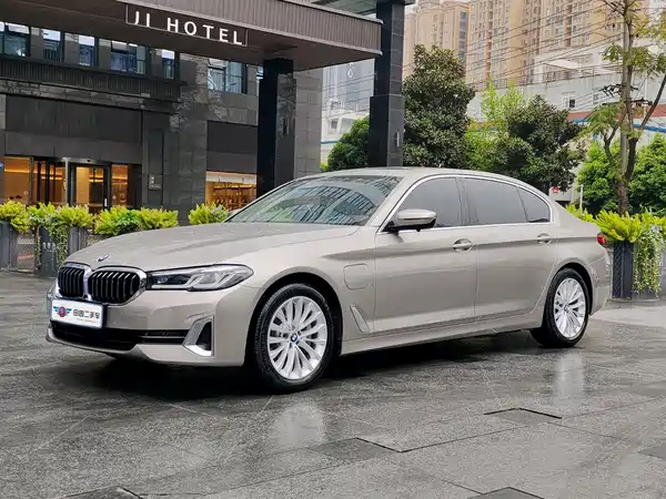 BMW 5 Series New Energy 2021