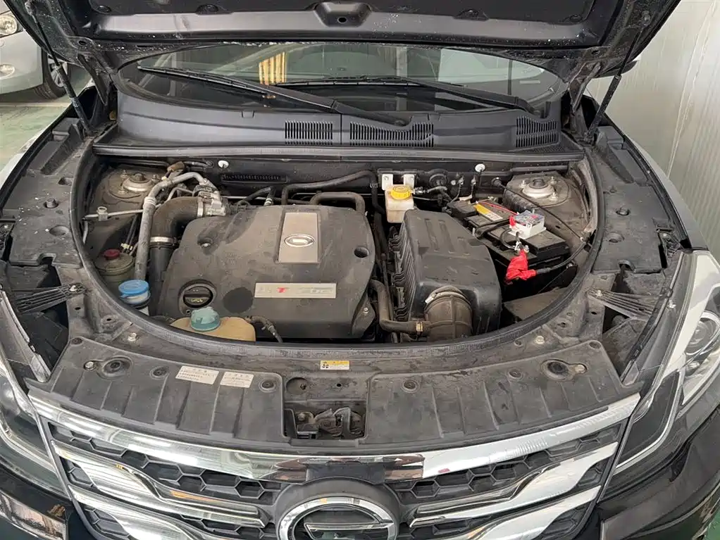 GAC Trumpchi GS5 Super 2015 — фото 20