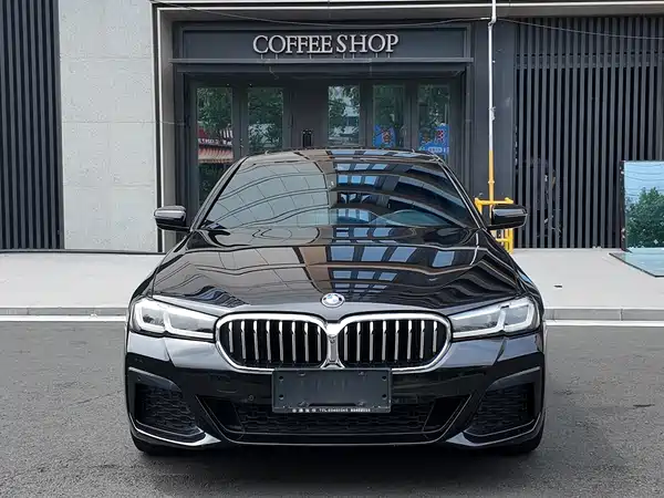 BMW 5 Series 2020