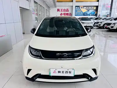 BYD Dolphin 2024
