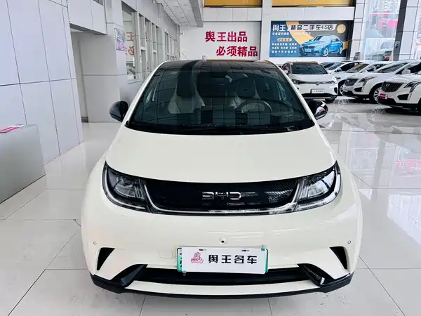 BYD Dolphin 2024