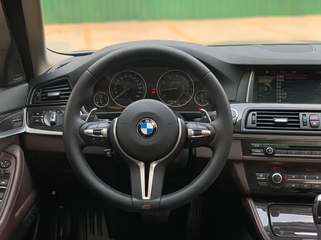 BMW 5 Series 2014 — фото 10