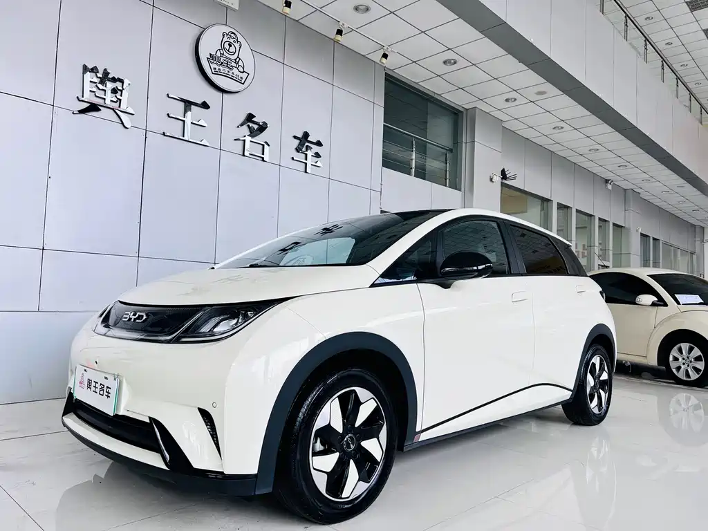 BYD Dolphin 2024 — фото 1