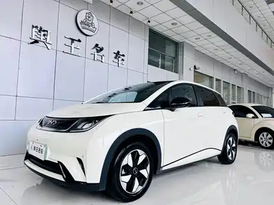 BYD Dolphin 2024