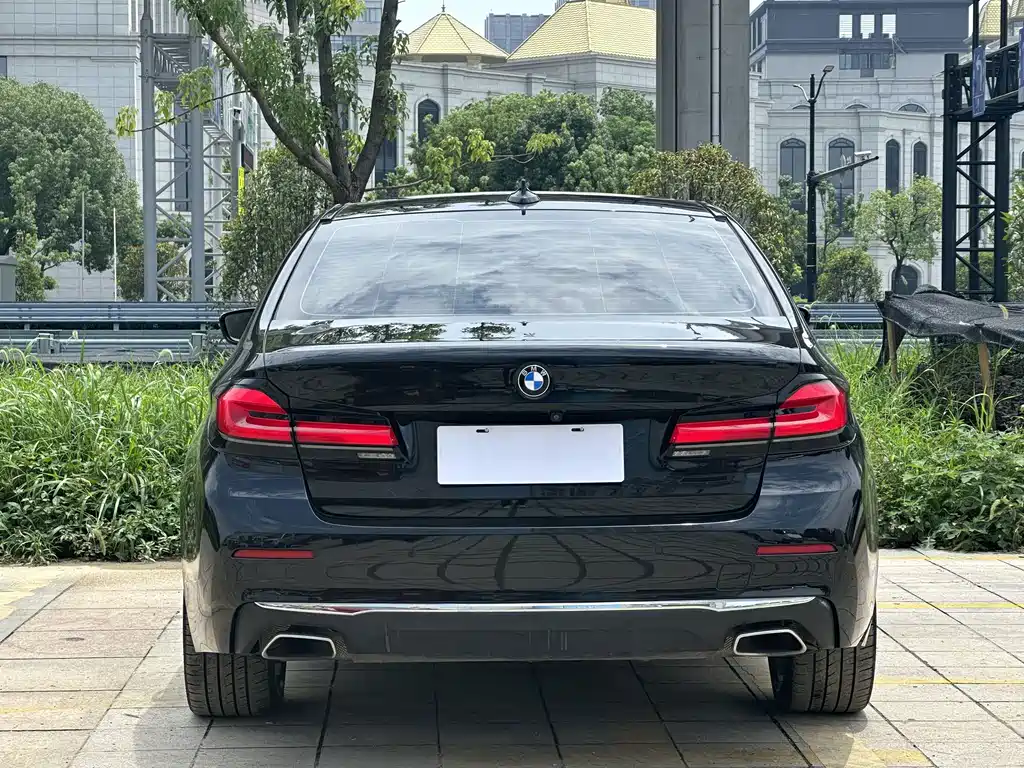 BMW 5 Series New Energy 2020
