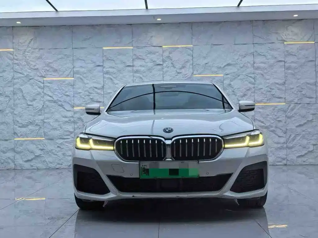 BMW 5 Series New Energy 2022