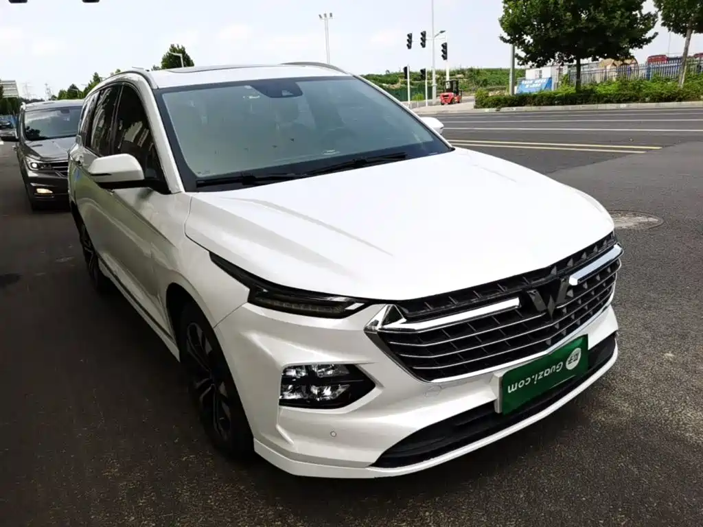 Wuling Capgemini 2022