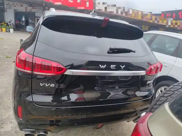 Wey VV6 2020