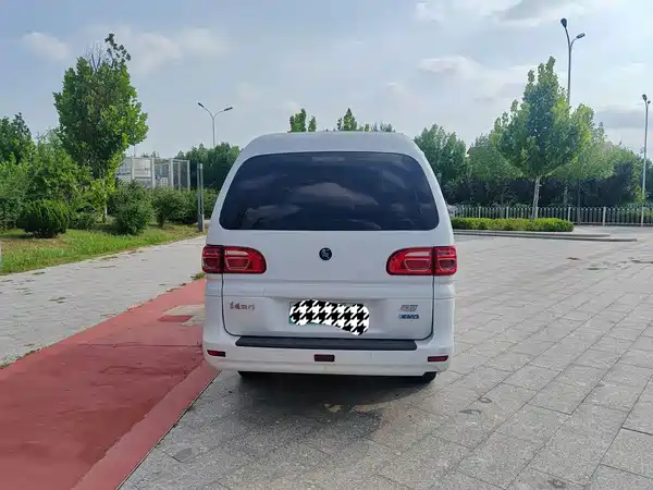 Dongfeng Lingzhi New Energy 2025