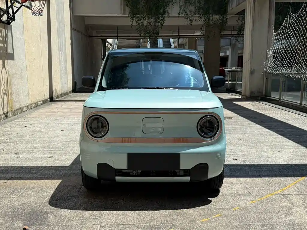 Galaxy Panda 2024