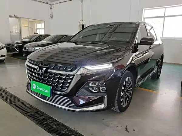 Wuling Victory 2023