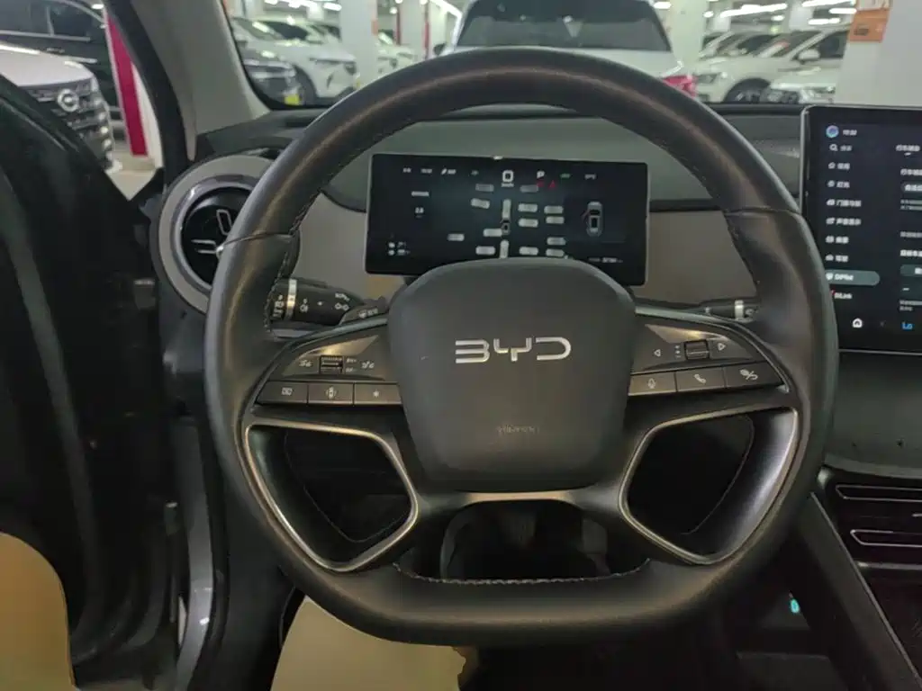 BYD Sealion 05 DM-i 2025 — фото 11