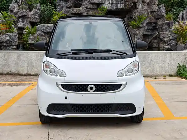 smart fortwo 2013