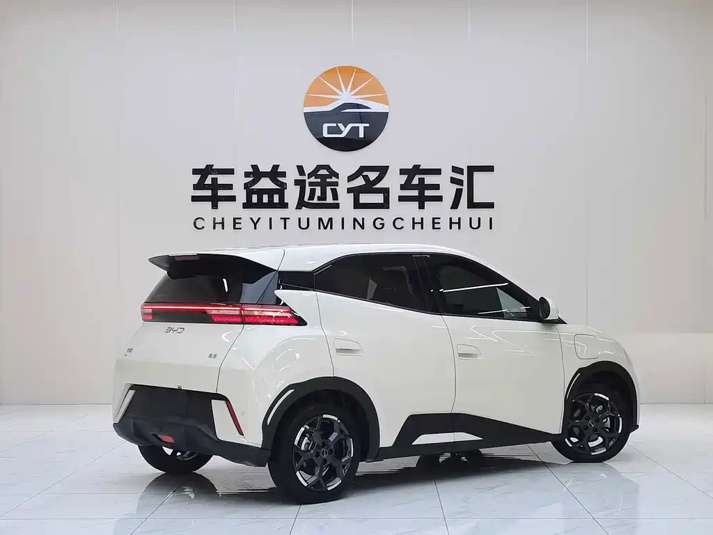 BYD Seagull 2024