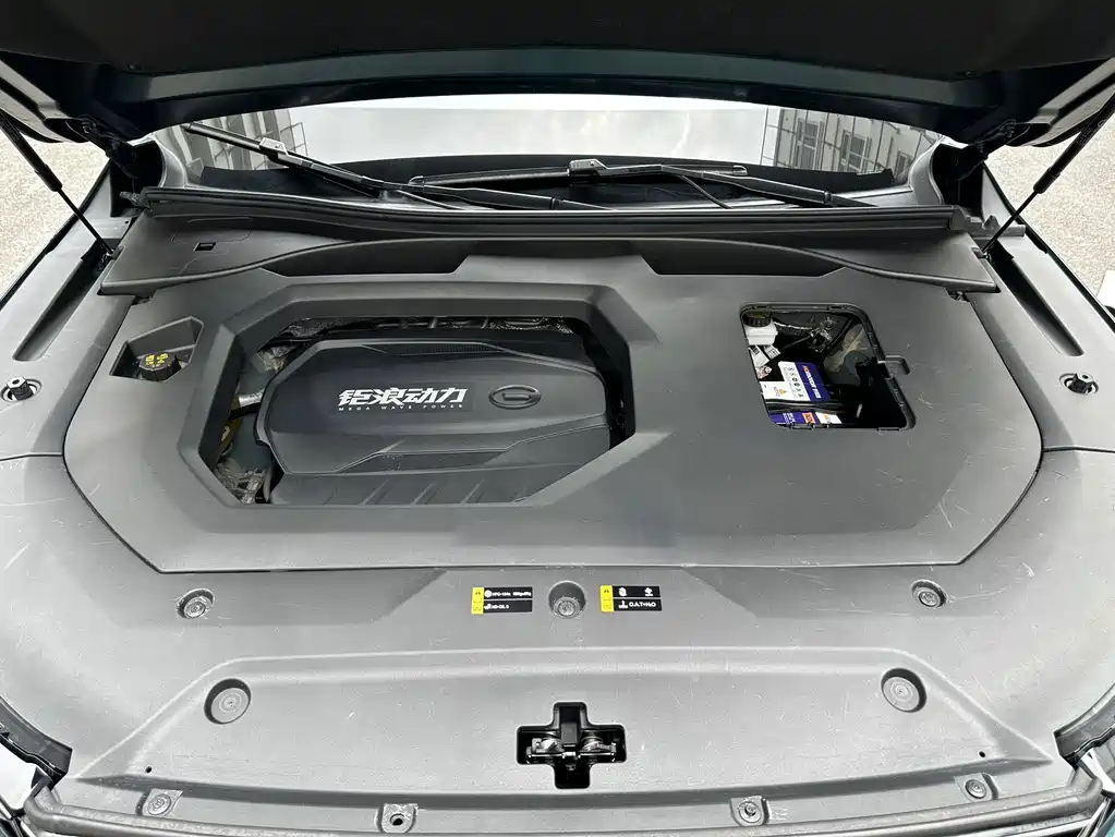 GAC Trumpchi GS8 2021 — фото 13