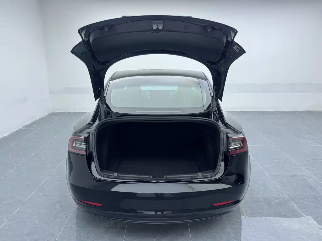 Tesla Model 3 2021 — фото 11