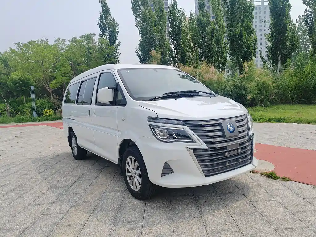 Fengxing Lingzhi New Energy 2025