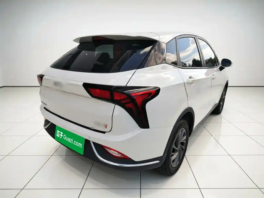 Neta V 2022
