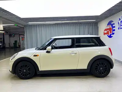 MINI MINI 2015