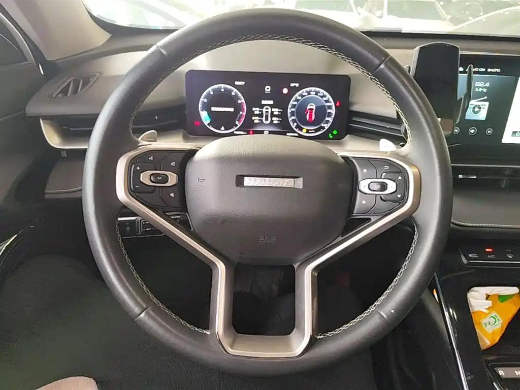 Haval H6 2021 — фото 11