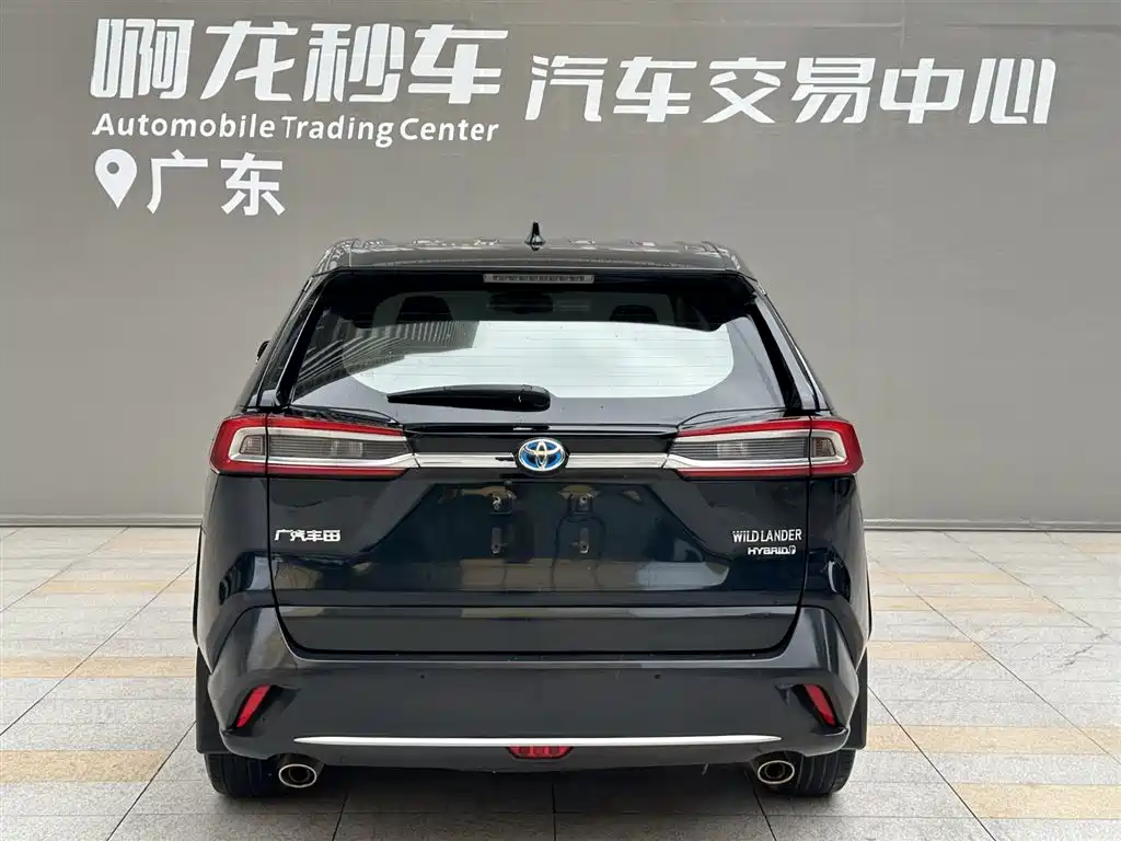 Toyota Wildlander 2022