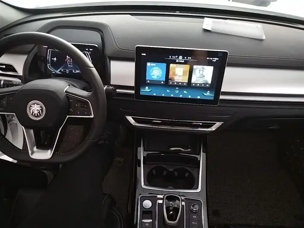 BYD Qin Pro NEV 2020 — фото 10