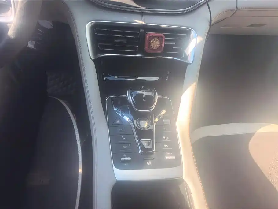 BYD PLUS New Energy 2023 — фото 16