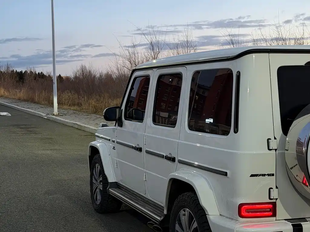 Mercedes-Benz G-Class 2021 — фото 10
